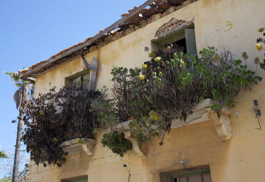 Как кипрский курорт, где отдыхала Брижит Бардо, стал городом-призраком за одну ночь