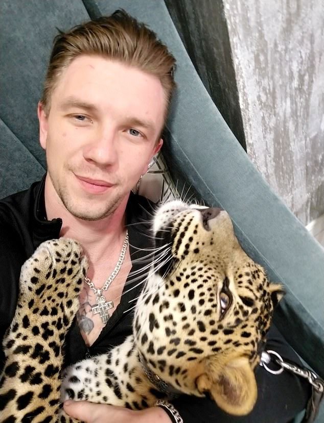 С леопардом, которого он забрал из зоопарка, парень живёт в одной квартире
