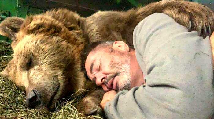 Супружеская пара спасает медвежат-сирот и выхаживают их как собственных детей