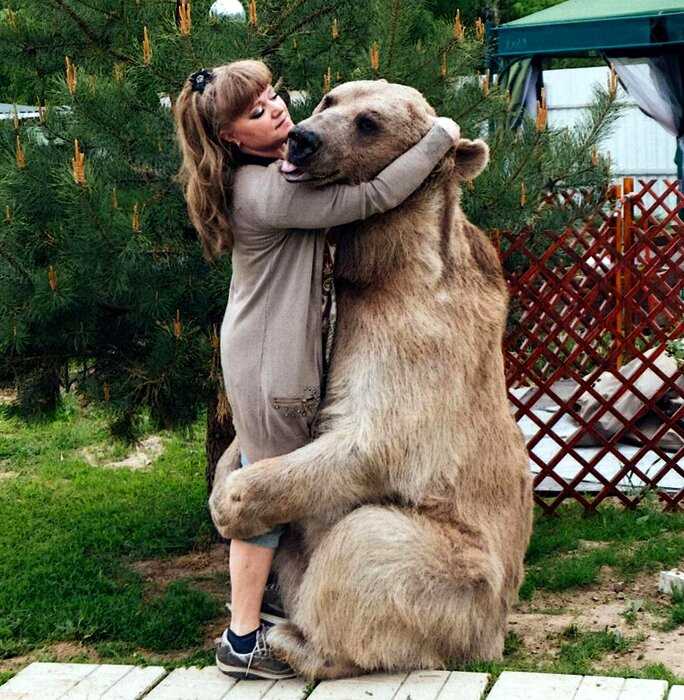 Медведь Стёпа остался без мамы, но его спасли и теперь он модель, с которой все мечтают сфотографироваться