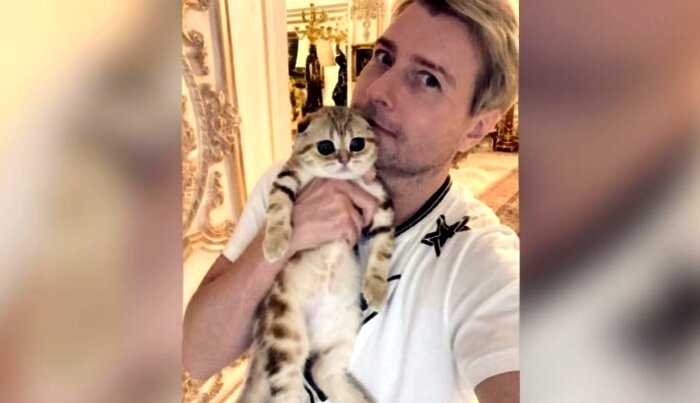 «Стал рабом животного». Басков разочаровался в отношениях и признался в любви кошке Шанель