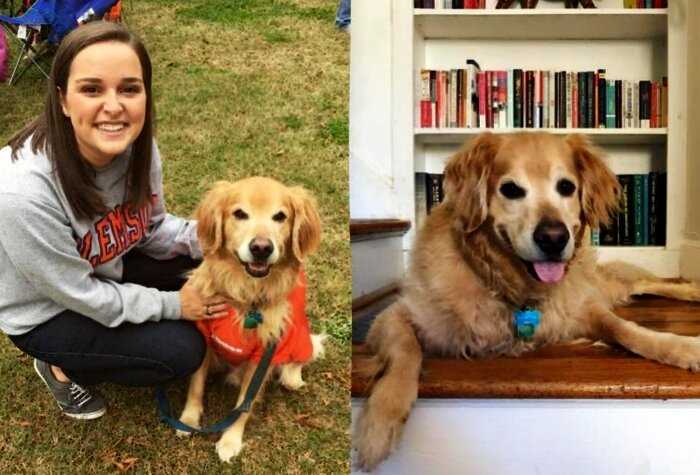 Девушка написала некролог любимому псу, умершему от рака, и эти строки нельзя читать без слёз