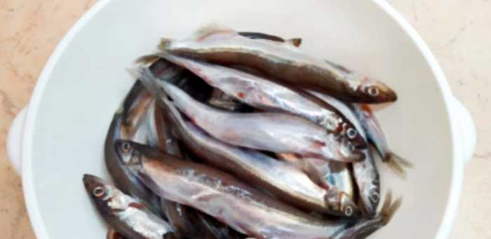 Теперь жарю рыбу без запаха, грязи и жирных брызг: советы бывалого рыбака