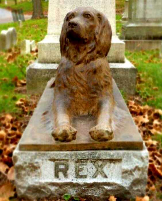 Эта собака умерла 100 лет назад, но люди до сих пор чтят её память необычайно милым образом
