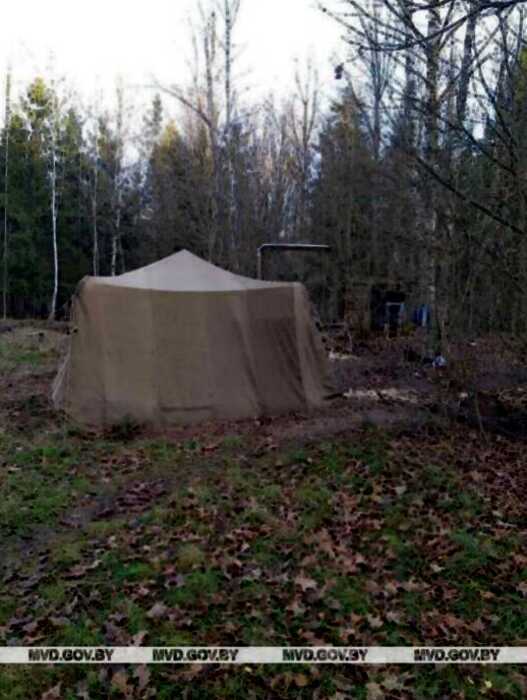В Белоруссии семья больше двух месяцев пряталась в лесу от «чипирования»