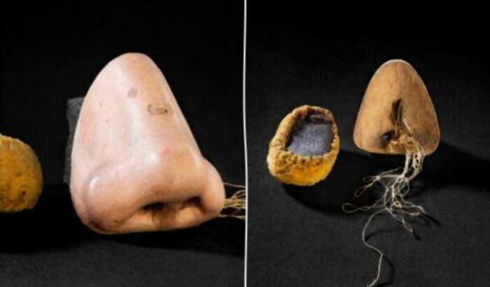 Как выглядел протез носа, который один голландец сделал себе в 18 веке