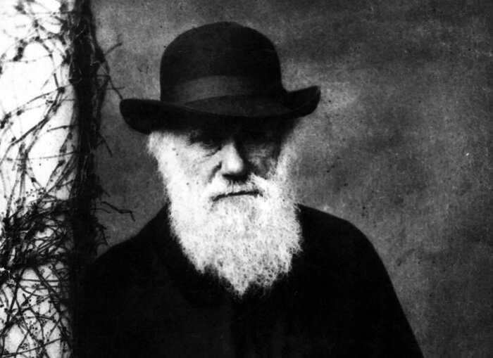Почему Дарвин не был атеистом и чем вдохновил Гитлера