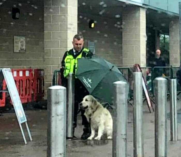 Охранник укрыл чужого пса зонтом. Этим поступком он растрогал соцсети