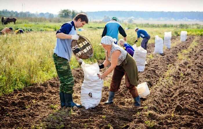 6 причин, почему иностранцам неуютно в наших квартирах