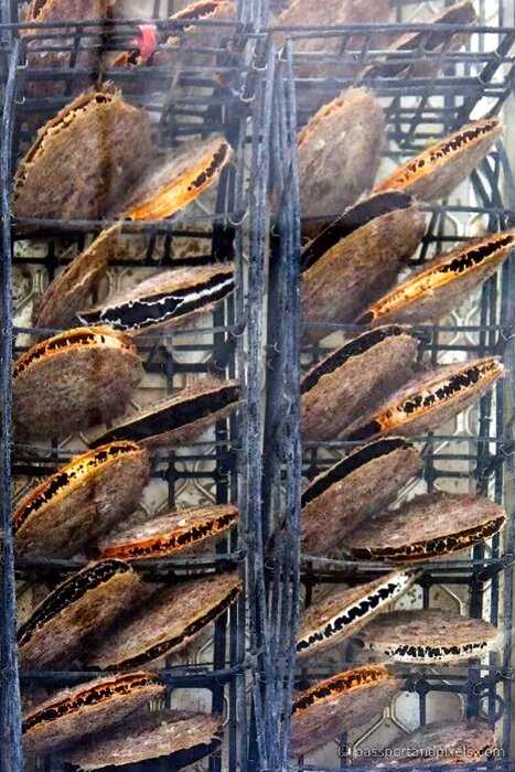 Занимательные факты о фермах по выращиванию моллюсков: жемчуг, мидии и устрицы