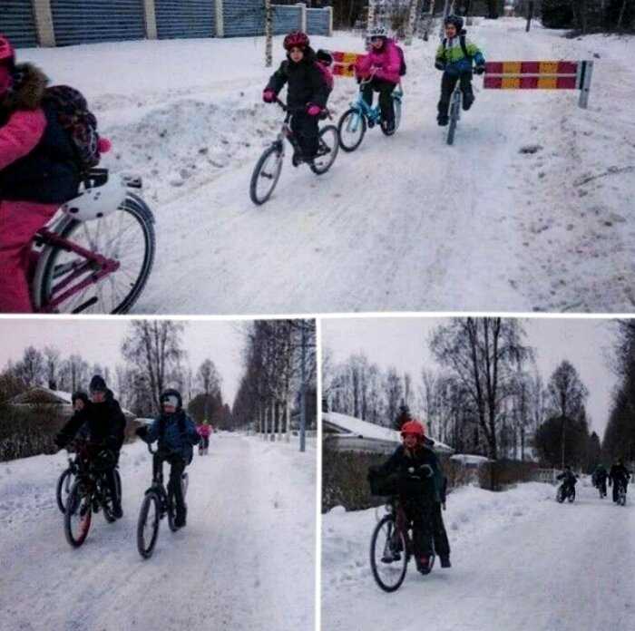 Финские школьники ездят в школу на велосипедах при температуре -17 °C