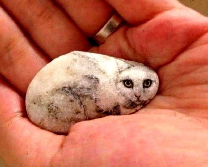 Японка превращает камни в очаровательных животных!