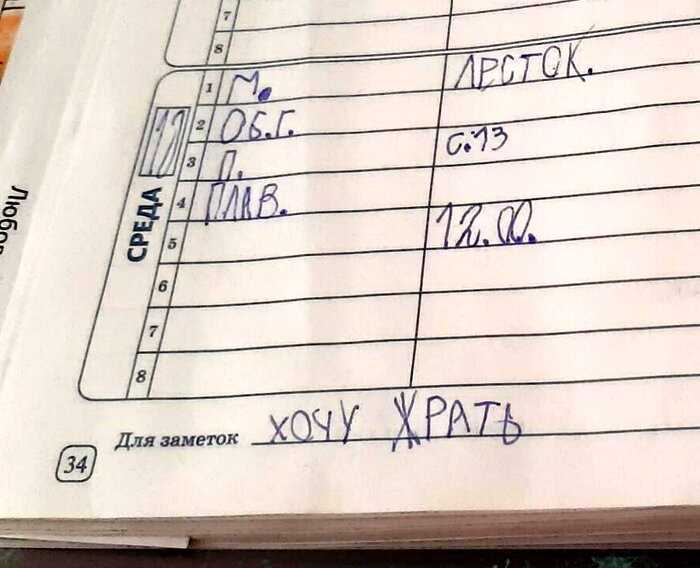 Школьник из Перми насмешил Twitter своим дневником, где графа «Для заметок» стала его исповедью