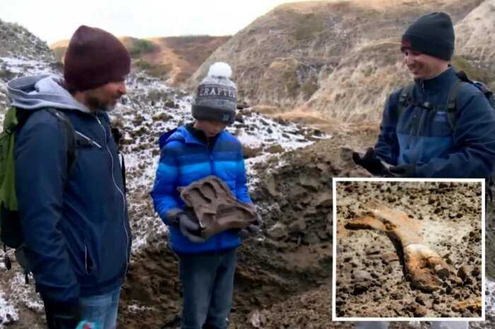 12-летний мальчик из Канады прогуливался в парке и нашёл скелет редкого динозавра, которому больше 69 миллионов лет