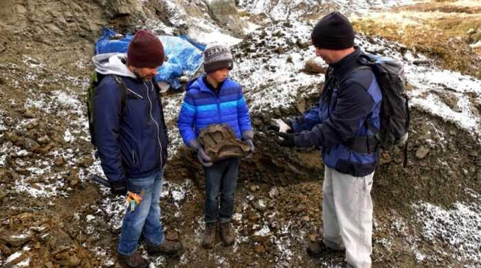 12-летний мальчик из Канады прогуливался в парке и нашёл скелет редкого динозавра, которому больше 69 миллионов лет