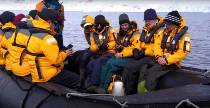Пингвин спасся от стаи косаток, запрыгнув в лодку к туристам