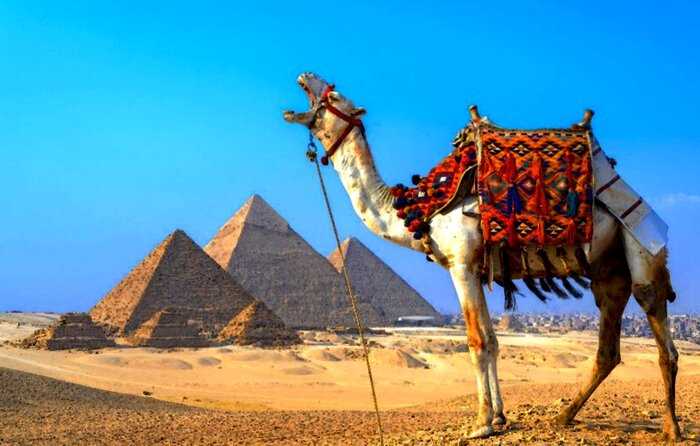 Перезагрузка по-египетски: что случилось с туризмом в стране, пока весь мир был закрыт