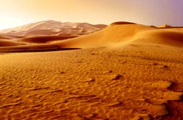 10 удивительных фактов, доказывающих, что пустыня – куда более странное место, чем вы могли подумать