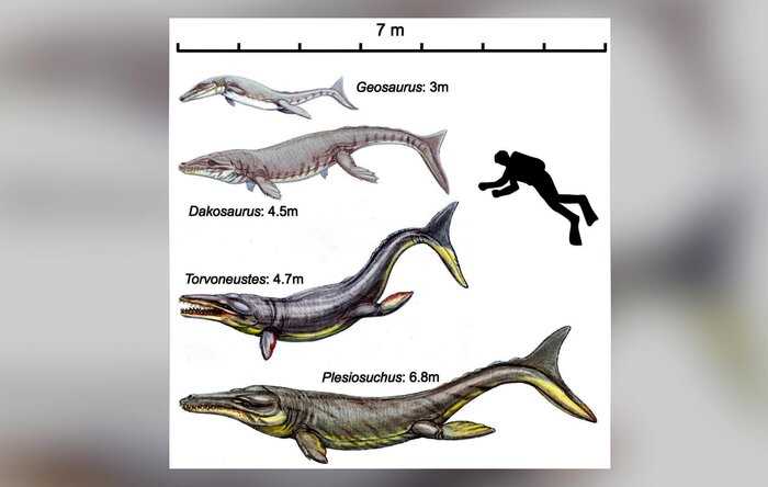 Эволюция в прыжке: почему крокодилы пережили динозавров