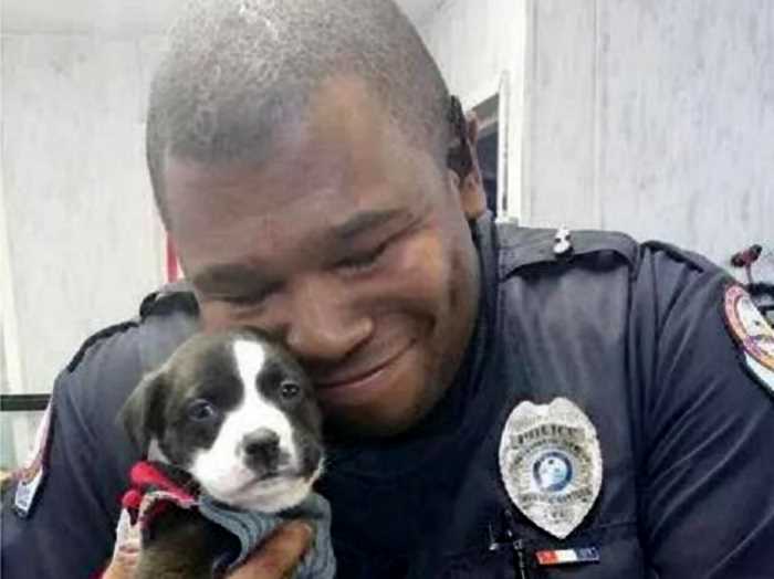 Ночной вызов помог полицейскому стать обладателем маленького, замерзающего щенка
