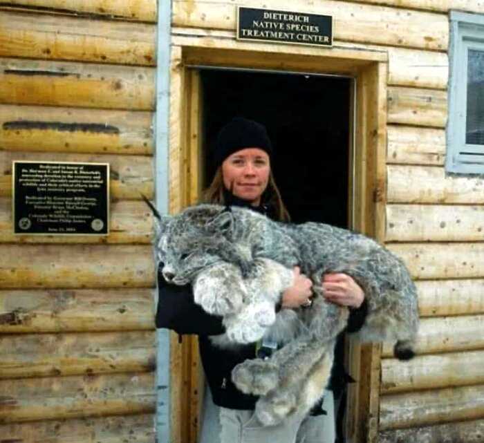 19 снимков, показывающие, что мы лишь мелкие песчинки на этой планете