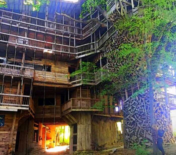 На шести деревьях мужчина в деревне построил 10-этажный дом на 80 комнат