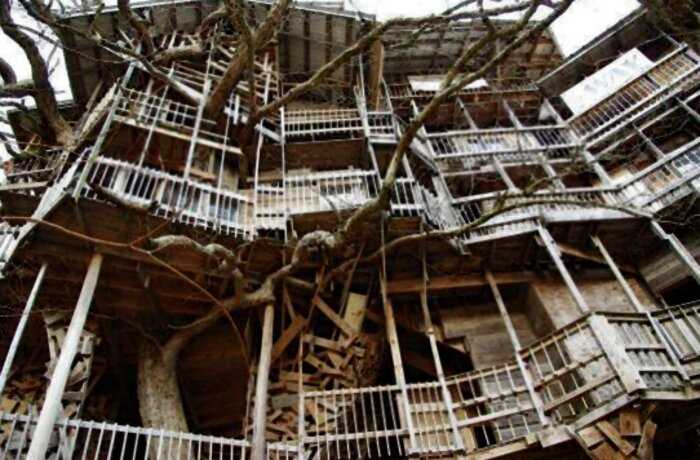 На шести деревьях мужчина в деревне построил 10-этажный дом на 80 комнат