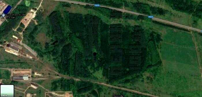 Советские геоглифы: как в СССР создавали леса в форме слов