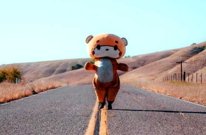 Американец в костюме медведя дошел от Лос-Анджелеса до Сан-Франциско