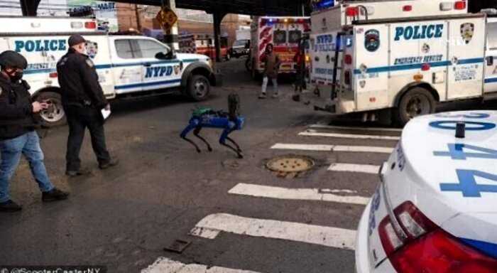 Робота-собаку уволили из нью-йоркской полиции за слишком футуристический вид