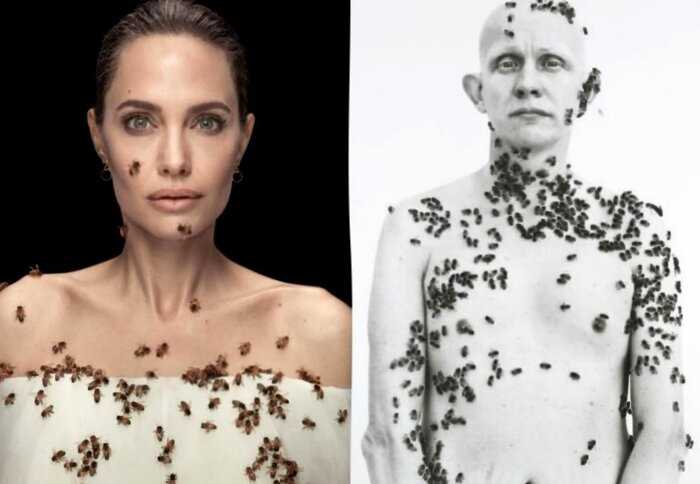 Анджелину Джоли полностью облепили пчёлы, но ради важной цели она не повела даже бровью — видео