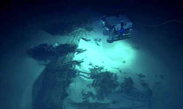Жизнь на глубине в 11 километров: исследования на дне Марианской впадины