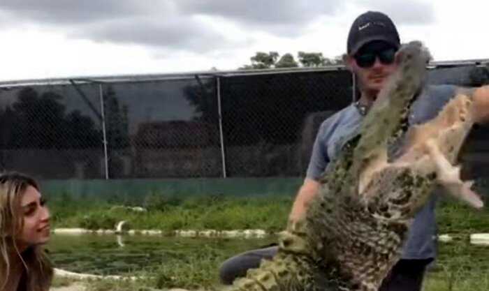 Работники зоопарка показали самого ленивого крокодила в мире: не охотится и обижается на гостей