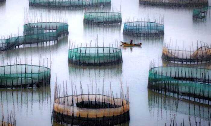 Поддельная рыбацкая деревня в Китае, существующая только ради фото в инстаграме