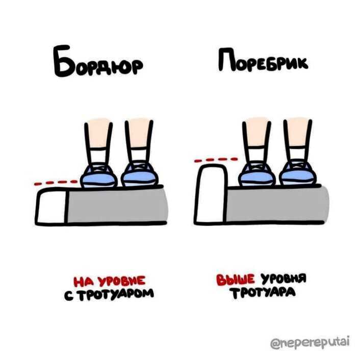 Чем отличается стоматолог от дантиста и другие простые понятия и вещи, разницы между которыми многие не видят