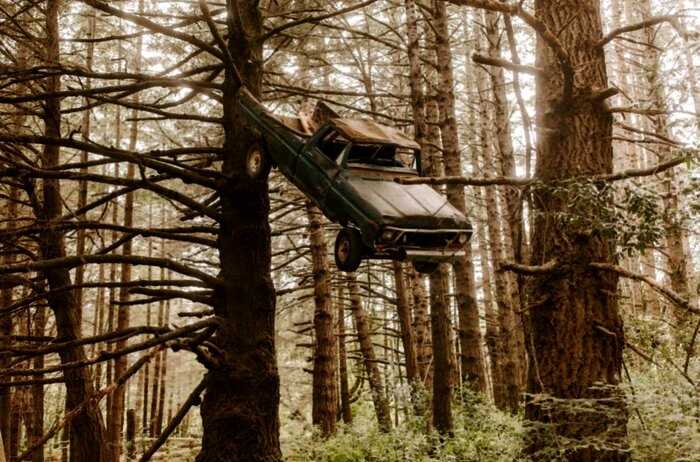 Молодожёны решили устроить фотосессию в лесу, а когда увидели на дереве старое авто изрядно испугались, но правда оказалась забавной