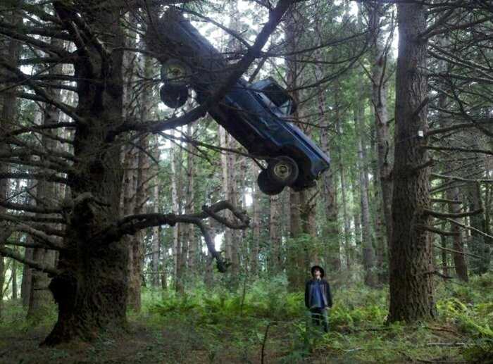 Молодожёны решили устроить фотосессию в лесу, а когда увидели на дереве старое авто изрядно испугались, но правда оказалась забавной