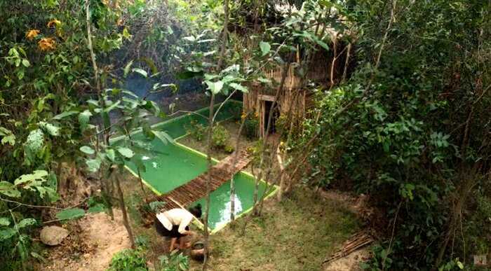 Девушка построила из бамбука виллу с бассейном в глухом лесу