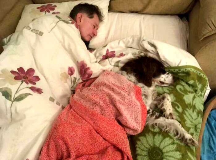 Чтобы старый пес не чувствовал себя одиноким, хозяева по очереди с ним спят