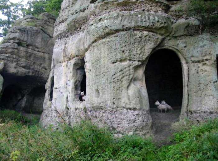 Раскрыта тайна рукотворных пещер 1200-летней давности, где прятался король-изгнанник