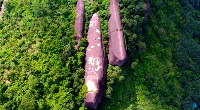 Три гигантских кита среди джунглей — какую тайну они хранят