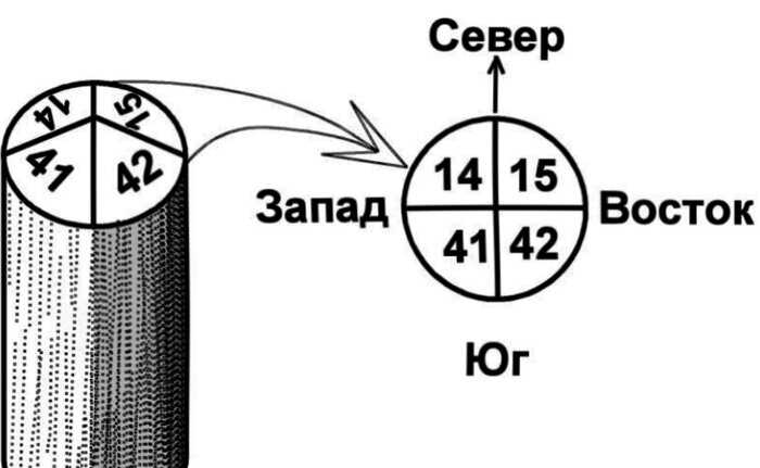 Зачем посреди леса стоит красный столб, и почему каждому нужно о нем знать