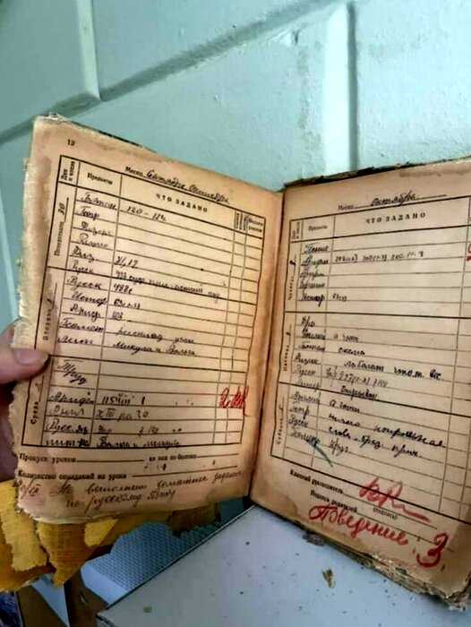 Нашли под окном в подъезде: раскрыта тайна дневника с двойками, который школьник спрятал 64 года назад