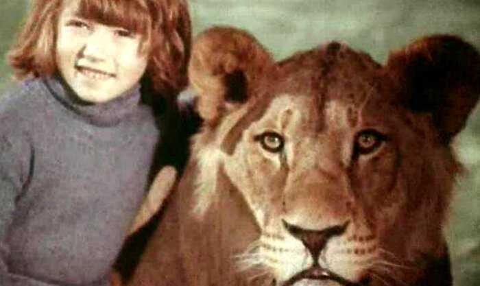 В 1970 году в обычной советской квартире появился лев. Сначала его думали оставить на время, но в итоге он жил 8 лет