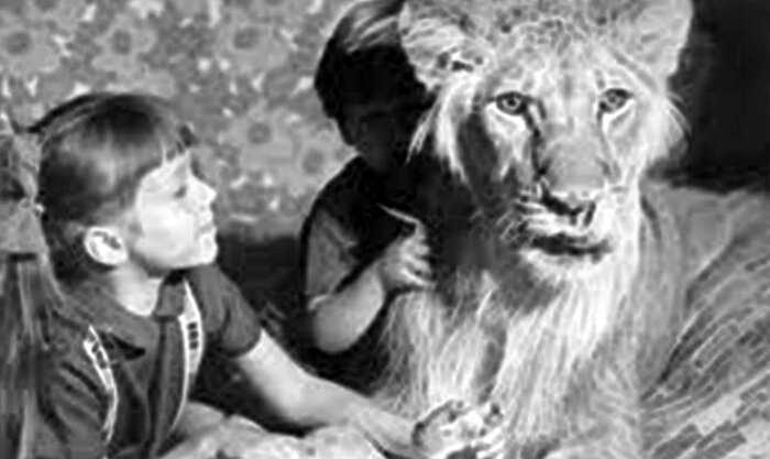 В 1970 году в обычной советской квартире появился лев. Сначала его думали оставить на время, но в итоге он жил 8 лет