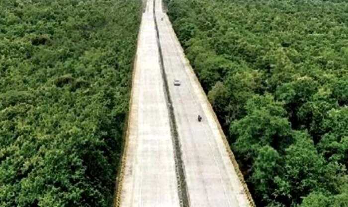 Дорога через землю тигров. 16 километров моста в Индии идут над джунглями, чтобы звери не соприкасались с людьми
