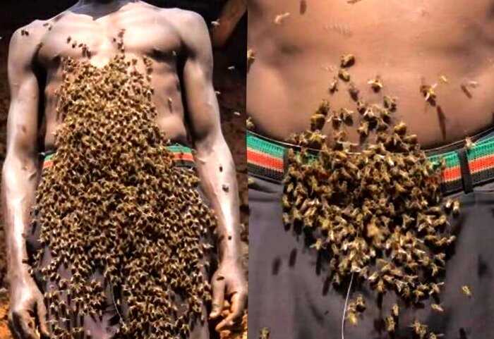 Пасечник за 30 лет превратился в живой улей, который облепили тысячи пчёл, и вот в чём его секрет