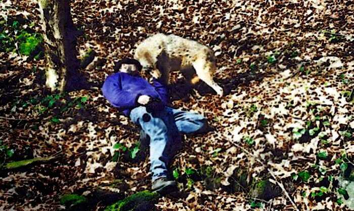 Мужчина ушел к волкам и 2 года жил в стае. За это время он стал почти волком: научился выть и понял тактику охоты