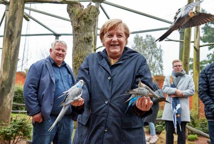 Попугаи совершили покушение на Меркель, пока она их кормила в зоопарке, и её реакция бесподобна