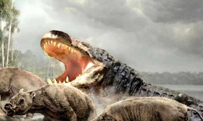 8 миллионов лет назад в джунглях Амазонии жил самый крупный хищник в истории. Длина крокодила была 20 метров